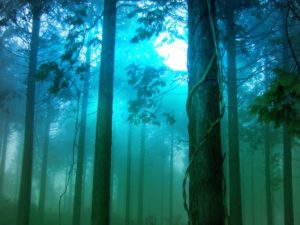 スピリチュアルが持つ意味とは？