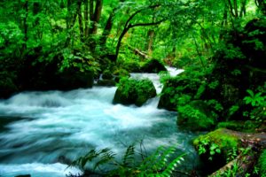 スピリチュアルな癒し効果とは？癒しのエネルギーが強い人や心が癒されるということは？