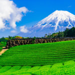 静岡でよく当たる人気の占い14選！おすすめ占い師や口コミ評判もご紹介！