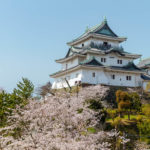 和歌山千里眼の当たる先生9選！失敗しない占い師選び【口コミも多数掲載】