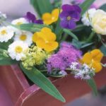 【奈良占い】ソフィア占いの部屋の詳細や口コミ評判は→コチラ