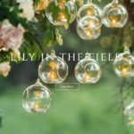 Lily in the Field （リリー・イン・ザ・フィールド）は当たる？当たらない？参考になる口コミをご紹介！【宮崎の占い】