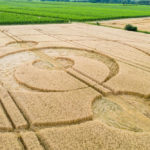 ミステリーサークルの真実に迫る！日本にもあるの？宇宙人からのメッセージ？