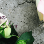 カウンセリングルーム J-Fairyは当たる？当たらない？参考になる口コミをご紹介！【福井の占い】