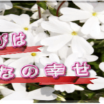 東洋占術パメラの館