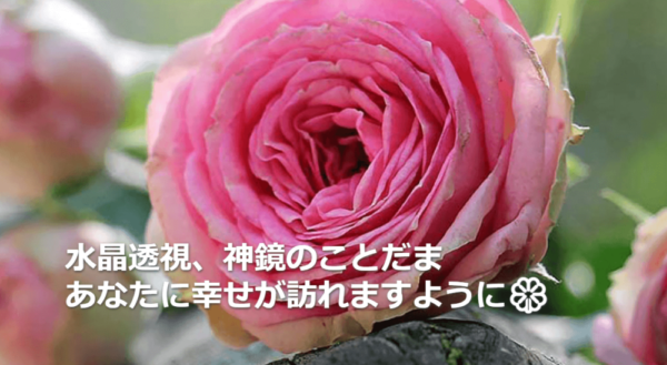 占いの館スイートは当たる？当たらない？参考になる口コミをご紹介！【茨城の占い】