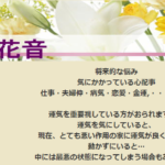 気学 亜花音は当たる？当たらない？参考になる口コミをご紹介！【栃木の占い】