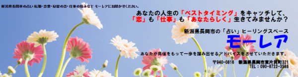 モーレアは当たる？当たらない？参考になる口コミをご紹介！【新潟の占い】