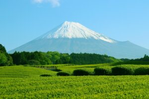 静岡の口コミ評判が良いおすすめ心理カウンセリング10選！