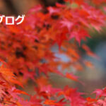 志摩占い はぐるまは当たる？当たらない？参考になる口コミをご紹介！【三重の占い】