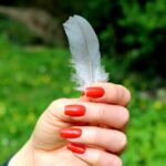 鳥の羽根を拾う時のスピリチュアルメッセージとは？色別にご紹介！
