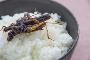 【夢占い】虫を食べる夢の意味8選！シチュエーション別にご紹介！