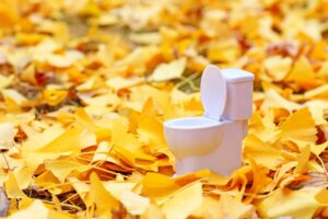 【夢占い】トイレに仕切りがない夢の意味とは？