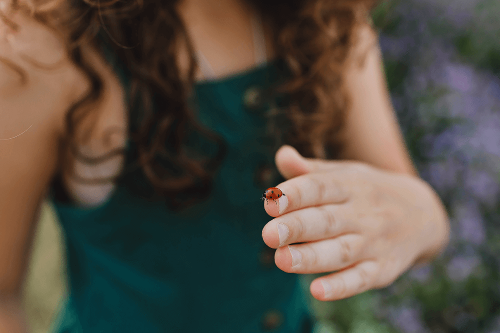 虫が寄ってくるスピリチュアルな意味とは？小さい虫は？よく虫が寄ってくる人は？